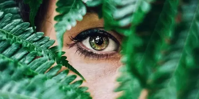 Vision et exercices pour le restaurer